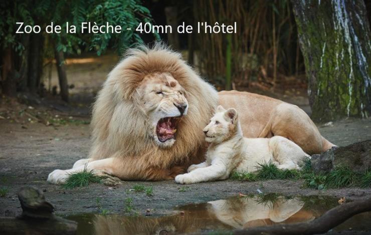 Hotel-Restaurant Ricordeau Loué Dış mekan fotoğraf